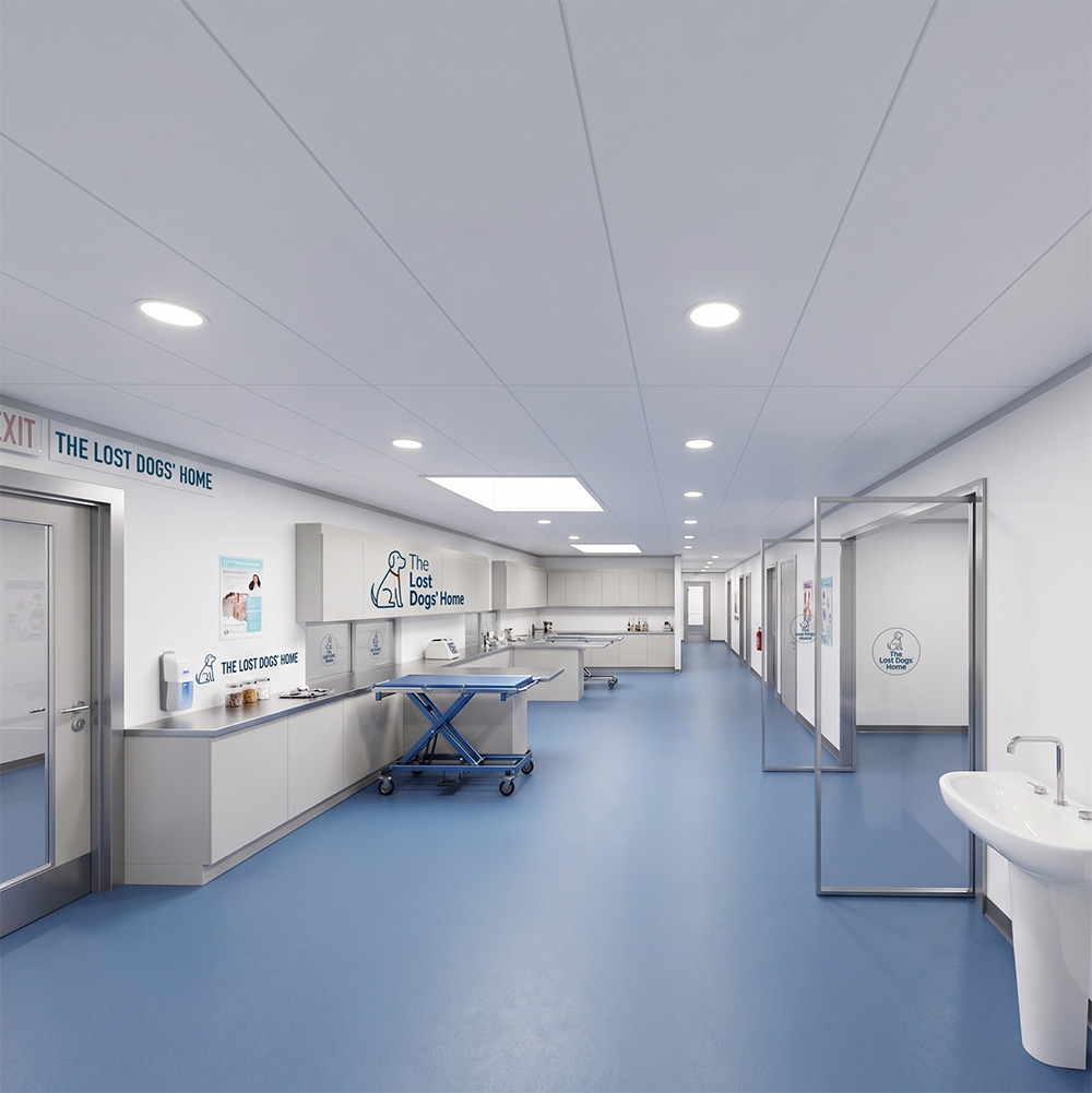Refurbished treatment area inside a Class 8 veterinary facility documented by Buildpoint for The Lost Dogs' Home